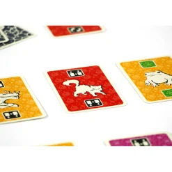 The Brain|999 Games Discount