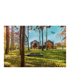 Ultim Favorit Inground Trampoline 280X190 Cm|BERG Cheap