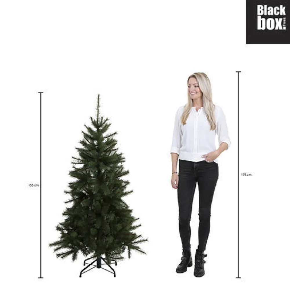 Sale Black Box Trees Kerstboom Toronto (H155 X O102 Cm)