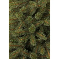 Hot Black Box Trees Kerstboom Toronto (H215Xo132 Cm)