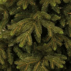 New Black Box Trees Kerstboom Macallan (H185 X O127 Cm)