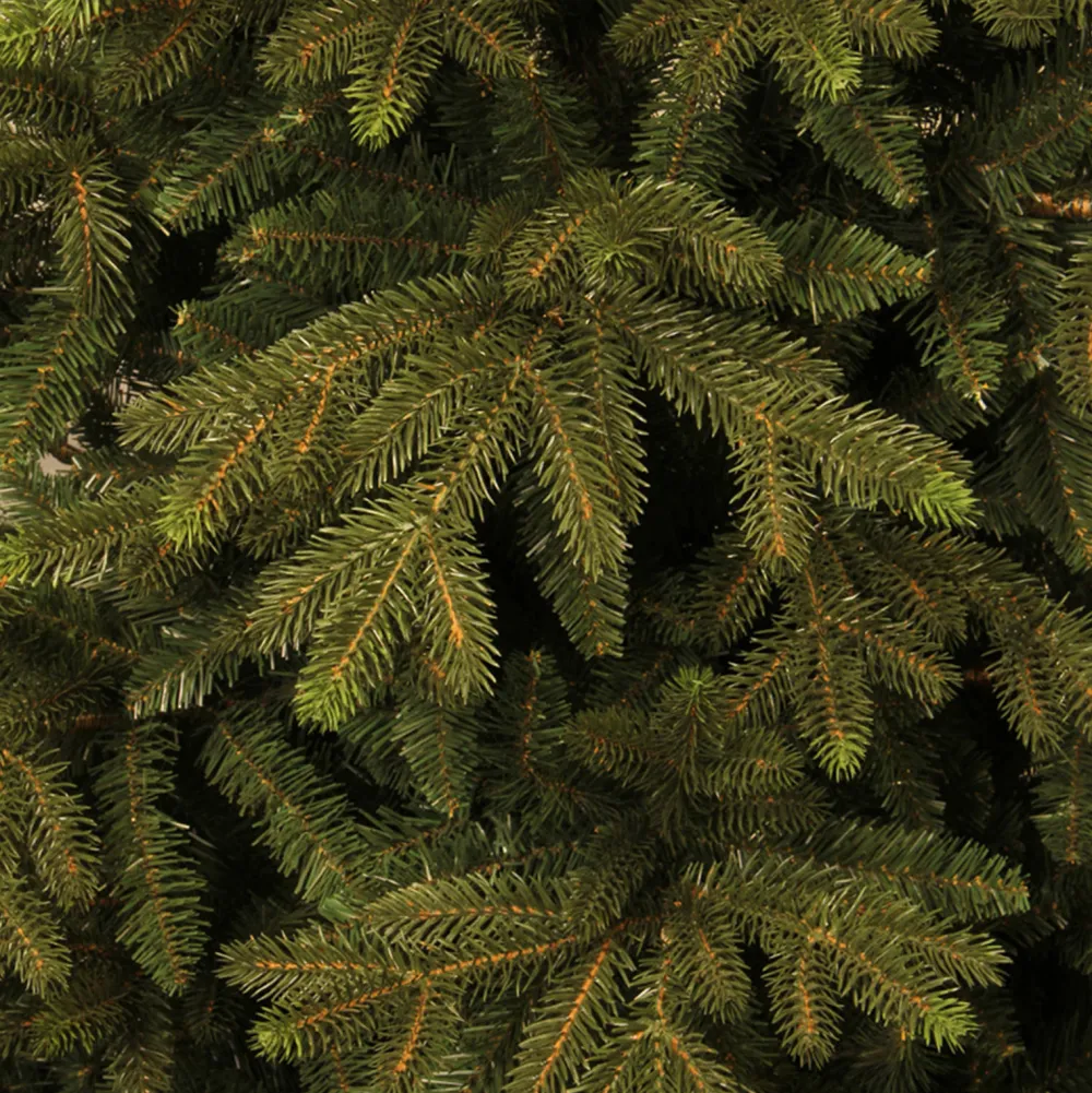 New Black Box Trees Kerstboom Macallan (H185 X O127 Cm)