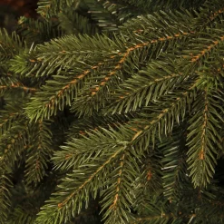 New Black Box Trees Kerstboom Macallan (H185 X O127 Cm)