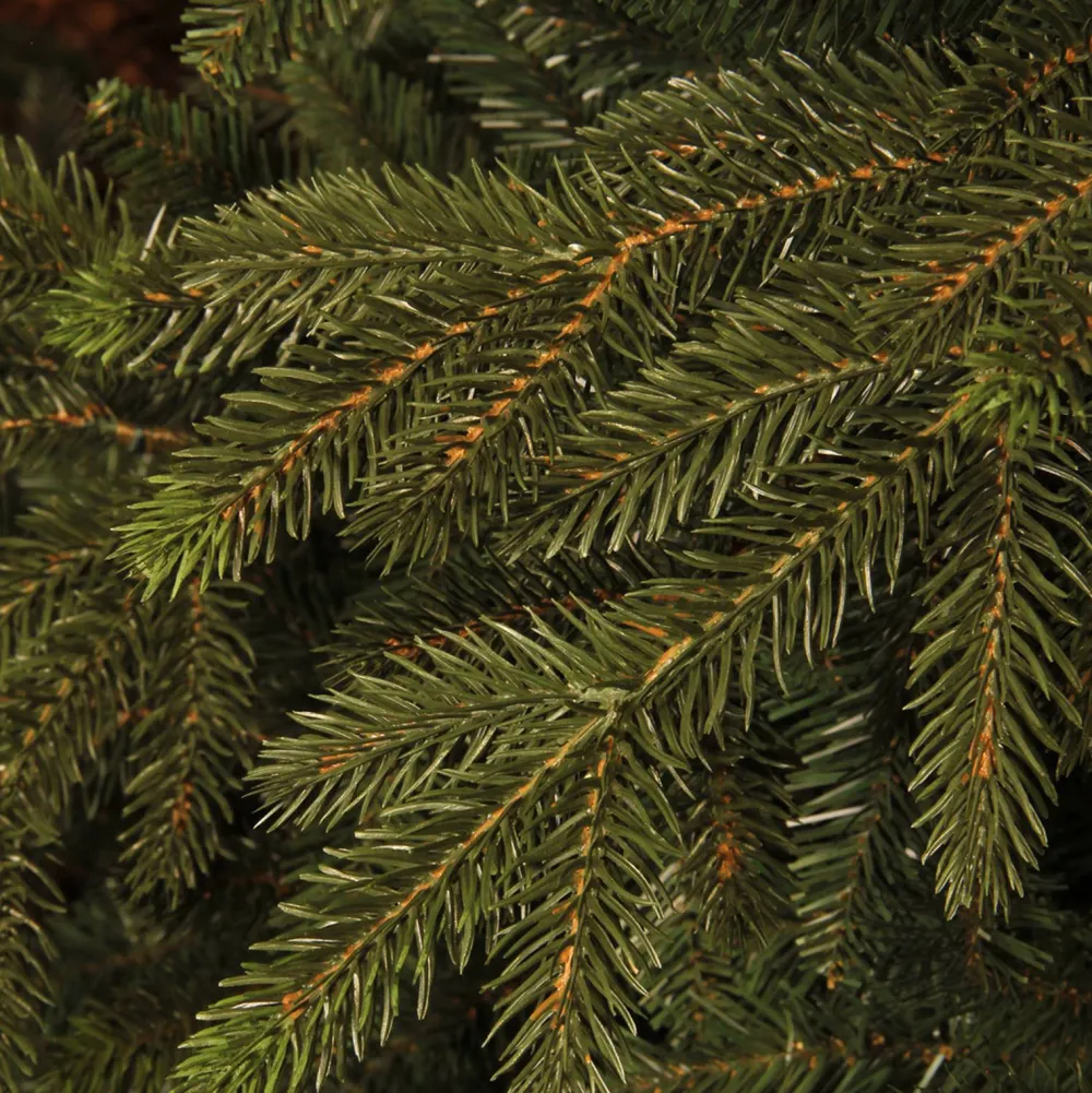 New Black Box Trees Kerstboom Macallan (H185 X O127 Cm)