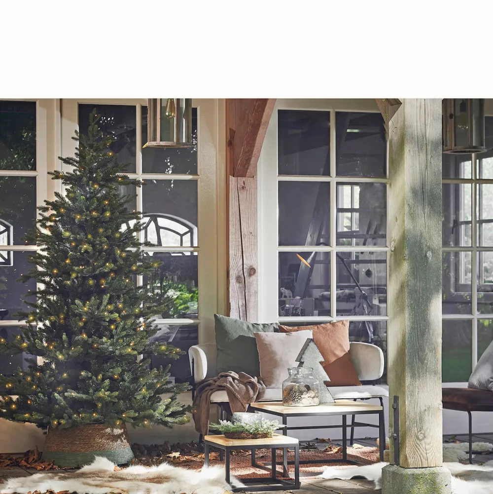 New Black Box Trees Kerstboom Macallan (H185 X O127 Cm)