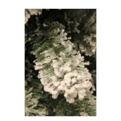 Flash Sale Black Box Trees Kerstboom Millington (H185 X O109 Cm)