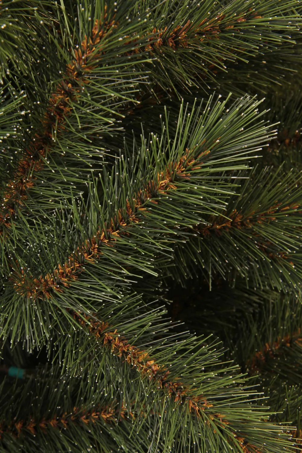 Shop Black Box Trees Kerstboom Toronto (H185 X O114 Cm)