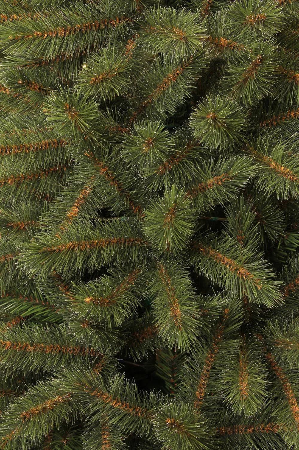 Shop Black Box Trees Kerstboom Toronto (H185 X O114 Cm)