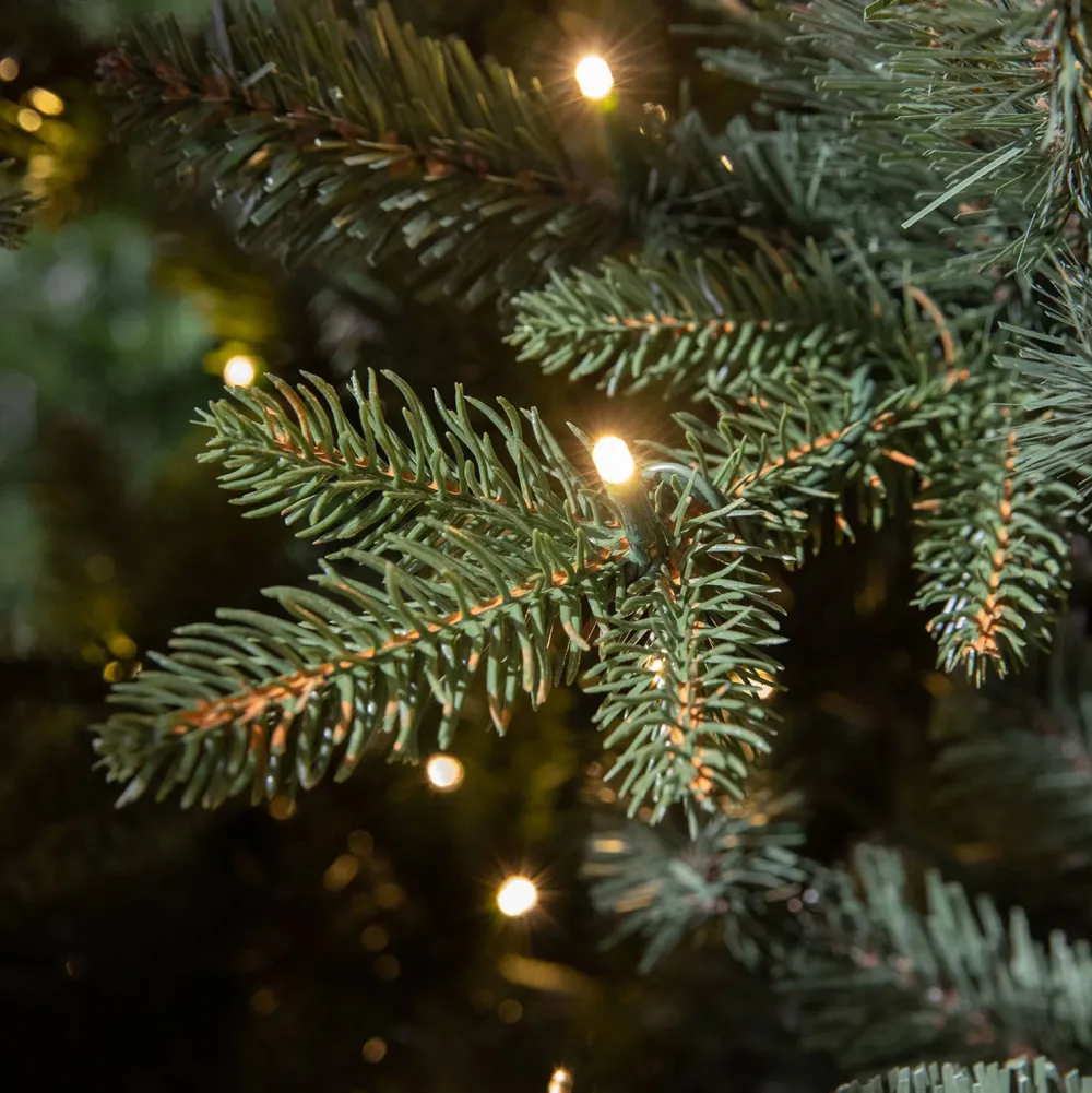 Outlet Black Box Trees Verlichte Kerstboom Elkins (H230 X O132 Cm)