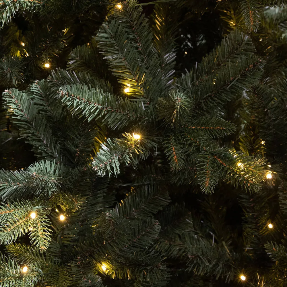 Outlet Black Box Trees Verlichte Kerstboom Elkins (H230 X O132 Cm)