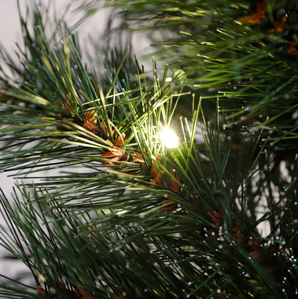 Cheap Black Box Trees Verlichte Kerstboom Sotka (H185 X O66 Cm)