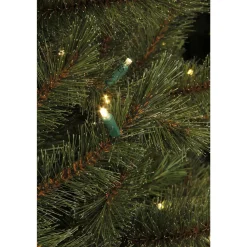 Best Sale Black Box Trees Verlichte Kerstboom Toronto (H185Xo114 Cm)