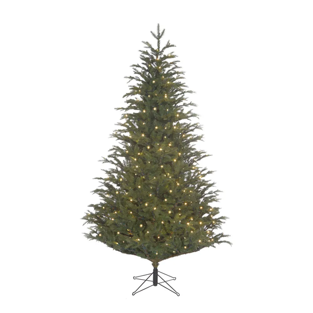 Online Black Box Trees Verlichte Kerstboom Frasier (H185 X O124 Cm)