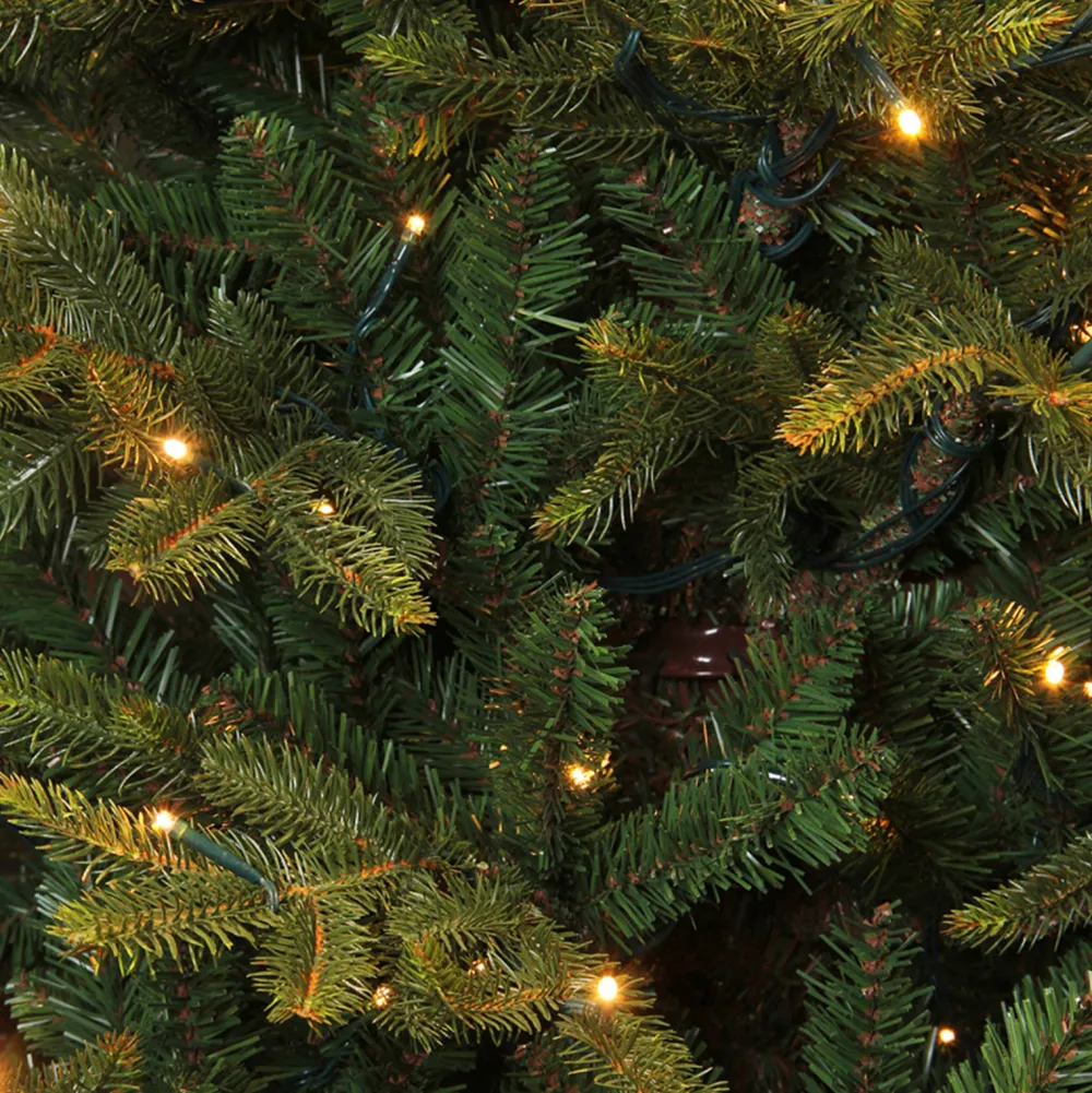 Online Black Box Trees Verlichte Kerstboom Frasier (H185 X O124 Cm)