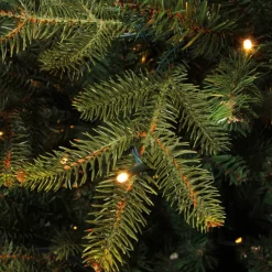 Online Black Box Trees Verlichte Kerstboom Frasier (H185 X O124 Cm)