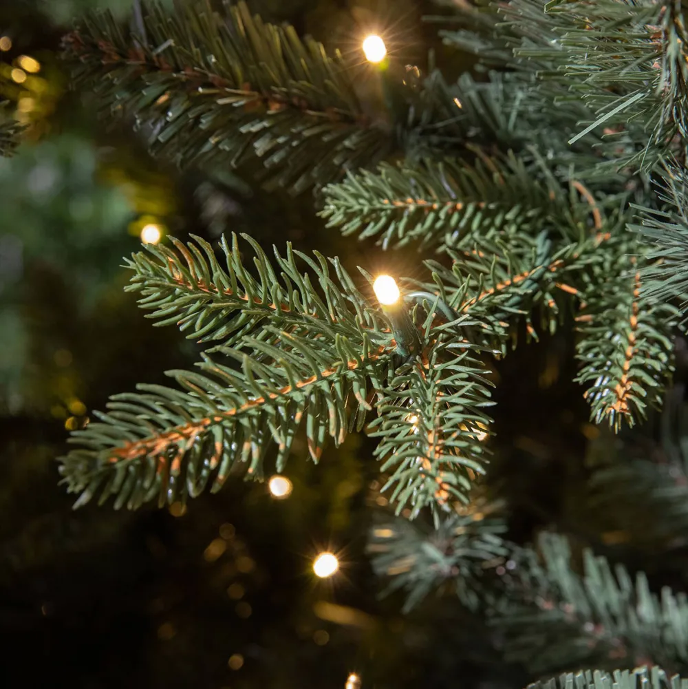 Best Sale Black Box Trees Verlichte Kerstboom Elkins (H185 X O104 Cm)