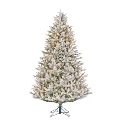 Outlet Black Box Trees Verlichte Kerstboom Frasier (H215 X O145Cm)