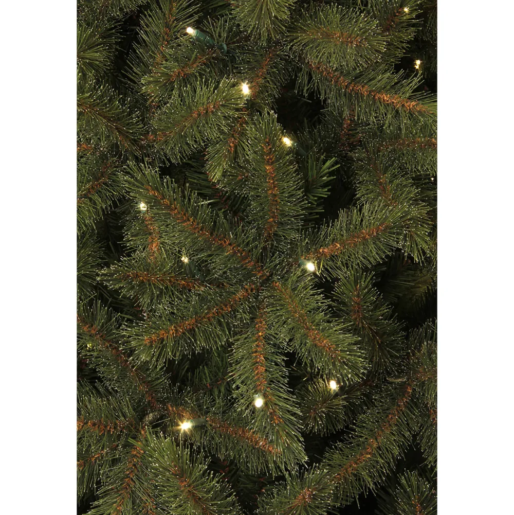 Clearance Black Box Trees Verlichte Kerstboom Toronto (H230Xo140 Cm)