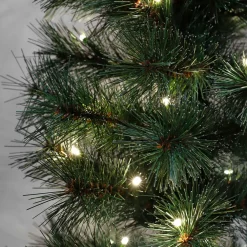 Cheap Black Box Trees Verlichte Kerstboom Sotka (H215 X O71 Cm)