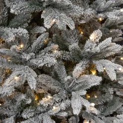 Cheap Black Box Trees Verlichte Kerstboom Frasier (H185 X O124Cm)
