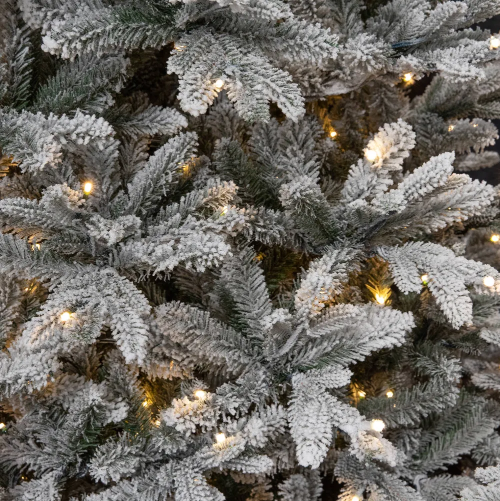 Cheap Black Box Trees Verlichte Kerstboom Frasier (H185 X O124Cm)