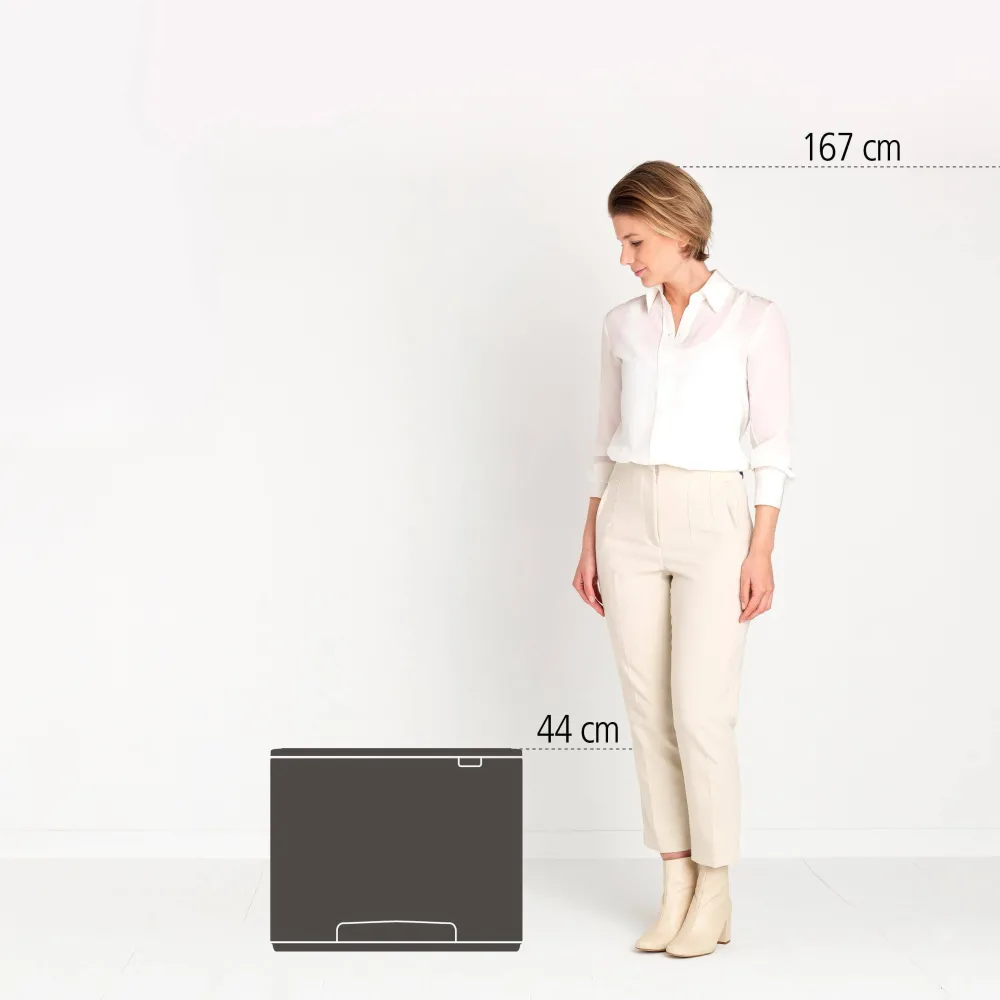 Cheap Brabantia Bo Pedaalemmer (23L+11L)