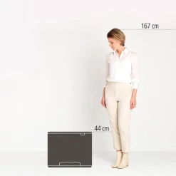 Best Sale Brabantia Bo Pedaalemmer (3X11L)