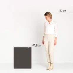 Best Sale Brabantia Bo Touch Bin Prullenbak (2X30L) (Afvalscheiding)