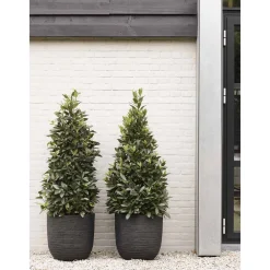 Bloempot Nature Row (O43X41 Cm)|Capi Cheap