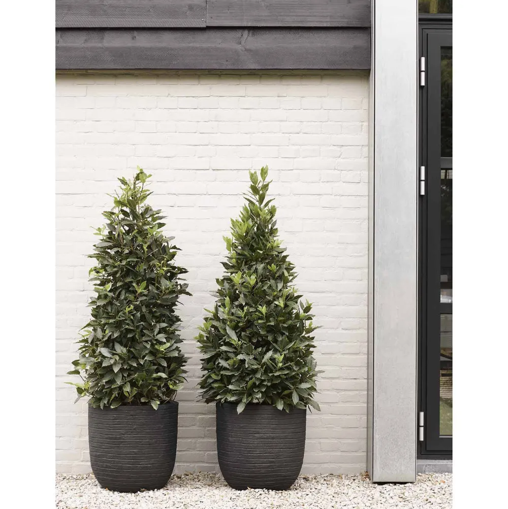 Bloempot Nature Row (O43X41 Cm)|Capi Cheap