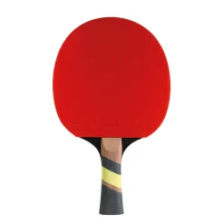 Excell 2000 Carbon Bat Indoor|Cornilleau Fashion