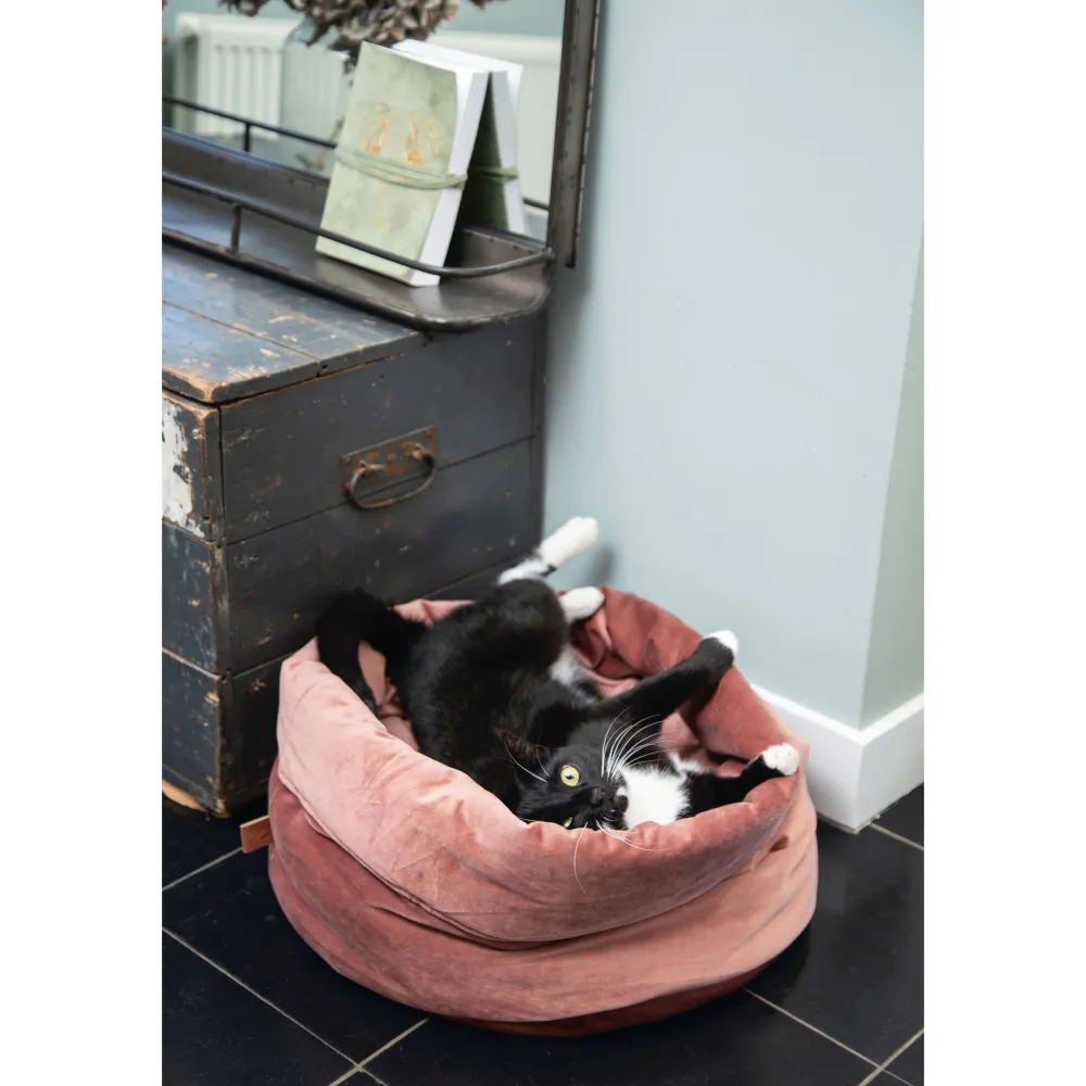 Best Sale Designed by Lotte Fluco Kattenmand - Fluweel - Roze - 45X45X35 Cm