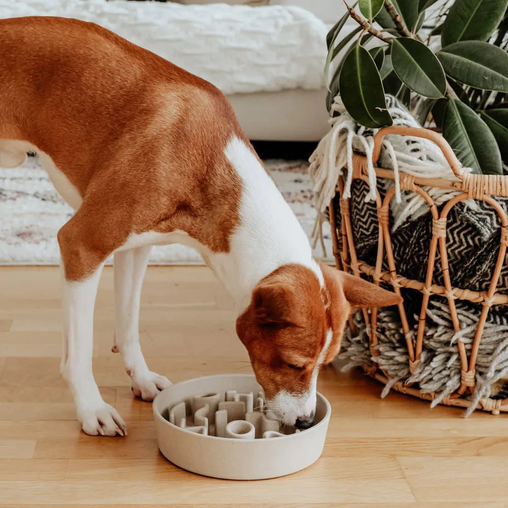 Best Sale District 70 Hondenvoerbak Bamboo Dog Slow Feeder - O 21 Cm - Merengue