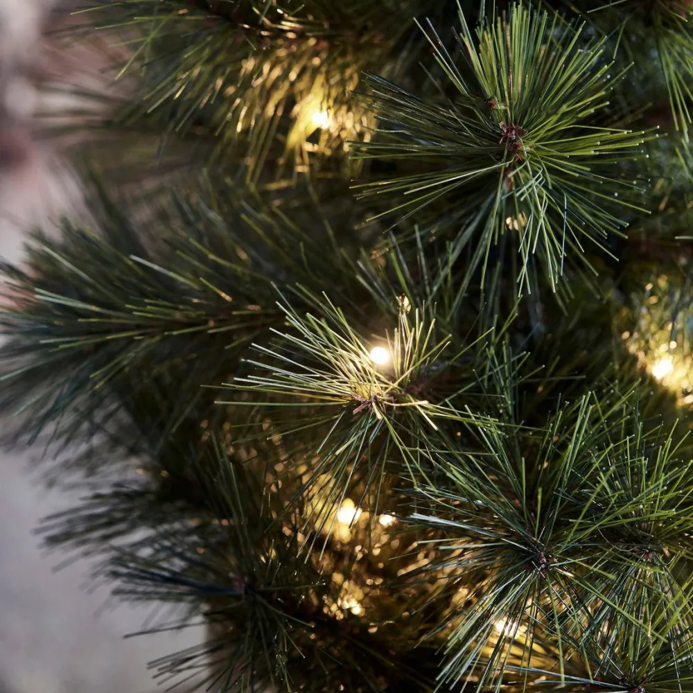 Outlet House Doctor Kerstboom Pinus