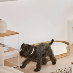 Online Kave Home Hondenkussen Codie O 80 X 50 Cm