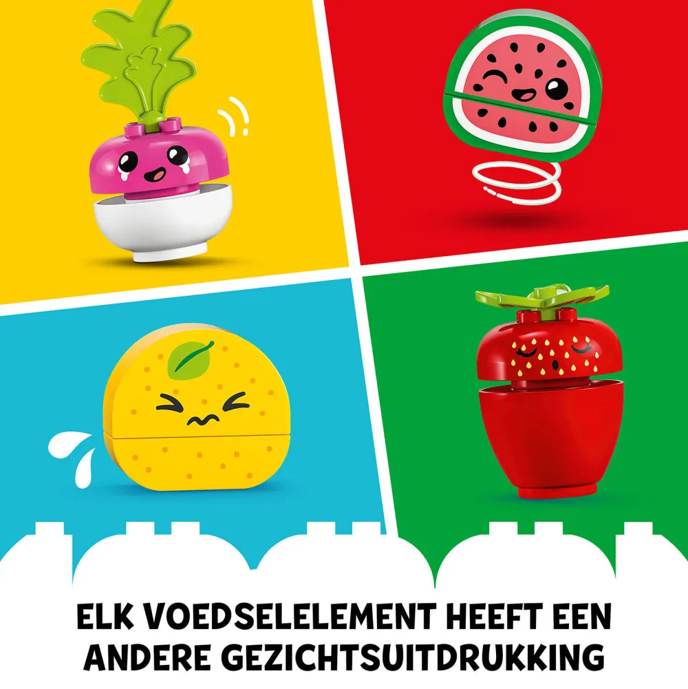 Duplo Biomarkt 10983|LEGO Fashion