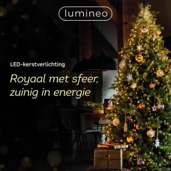 Best Sale Lumineo Verlichtingssnoer Met Twinkel (500 Led)