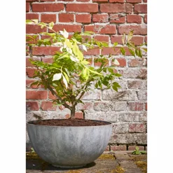 Bloempot Bravo (O35 Cm)|Mica Decorations New