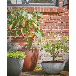 Bloempot Bravo (O35 Cm)|Mica Decorations New