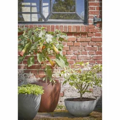 Bloempot Bravo (O55 Cm)|Mica Decorations Cheap