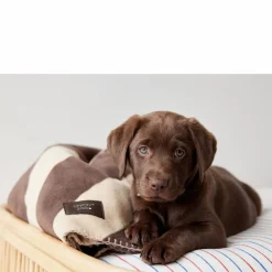 Outlet OYOY ZOO Honden / Katten Plaid Kaya (100X80 Cm)