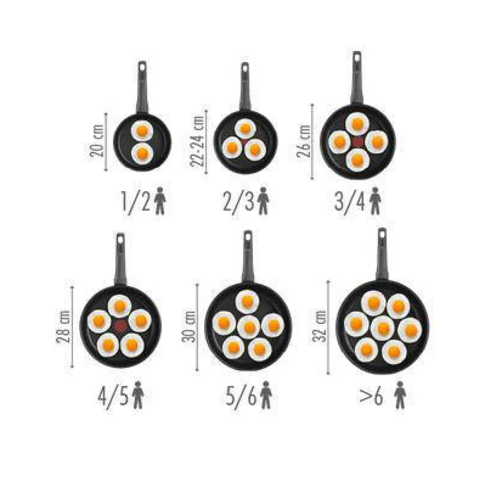 New Tefal Intensity Koekenpan (O20 Cm)