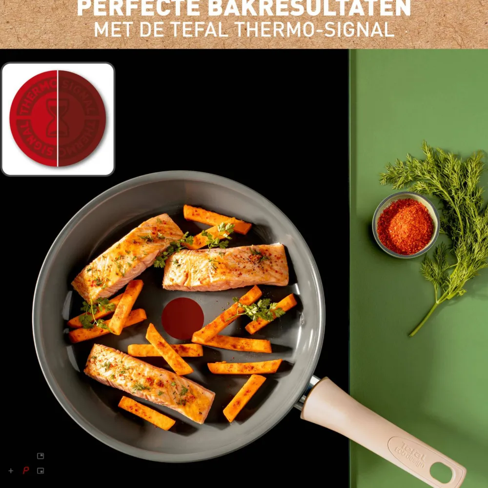 Best Tefal Revive Koekenpan (O28 Cm)