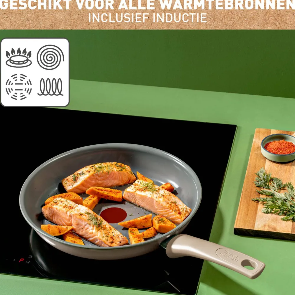 Online Tefal Revive Koekenpan (O20 Cm)