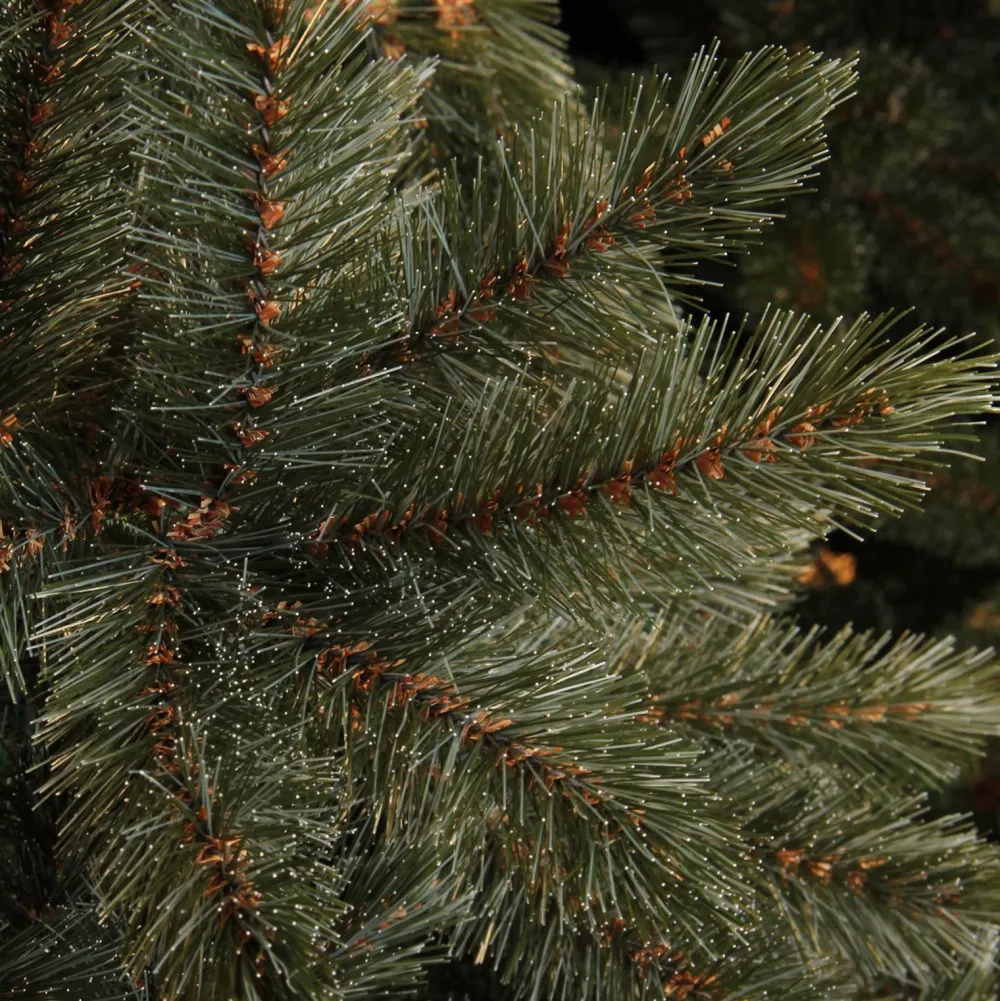 Sale Triumph Tree Kerstboom Forest Frosted (H155 X O119 Cm)