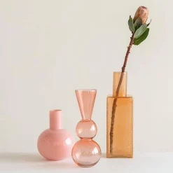 Clearance Urban Nature Culture Vaas Torri