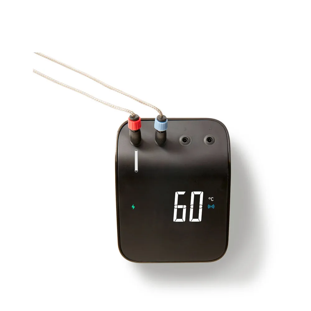 Connect Smart Grilling Hub|Weber Flash Sale