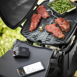 Connect Smart Grilling Hub|Weber Flash Sale