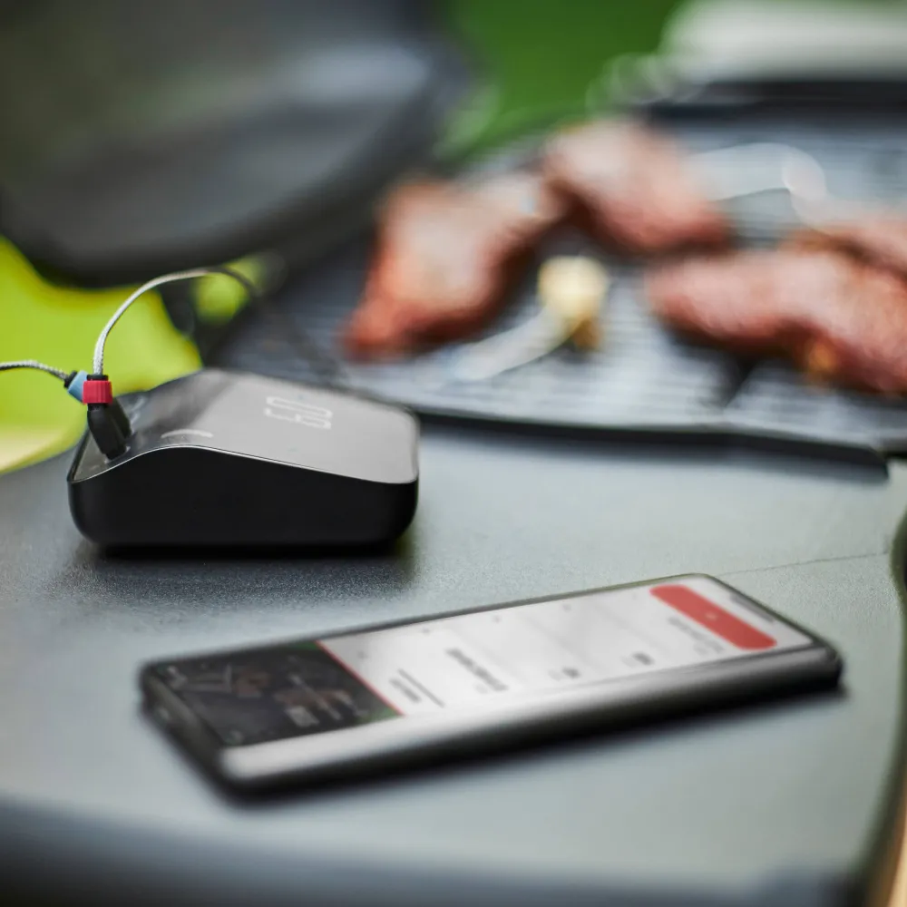 Connect Smart Grilling Hub|Weber Flash Sale