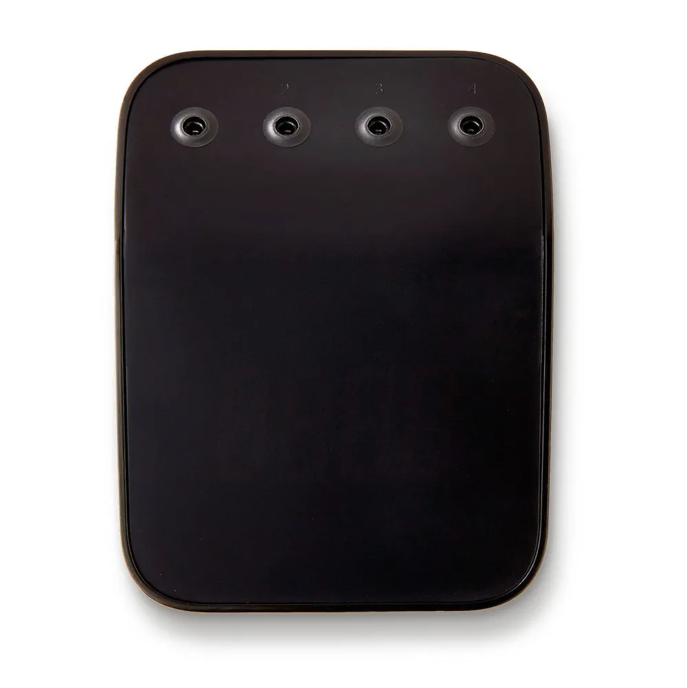 Connect Smart Grilling Hub|Weber Flash Sale